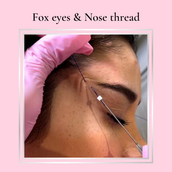 Fox Eyes & Nose Thread Online Tutorial
